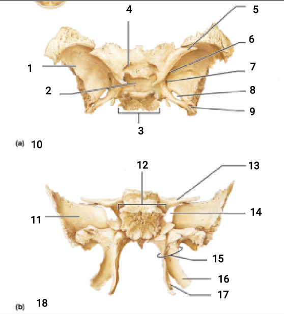 <p>2</p>