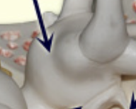 <p>What is this?</p>