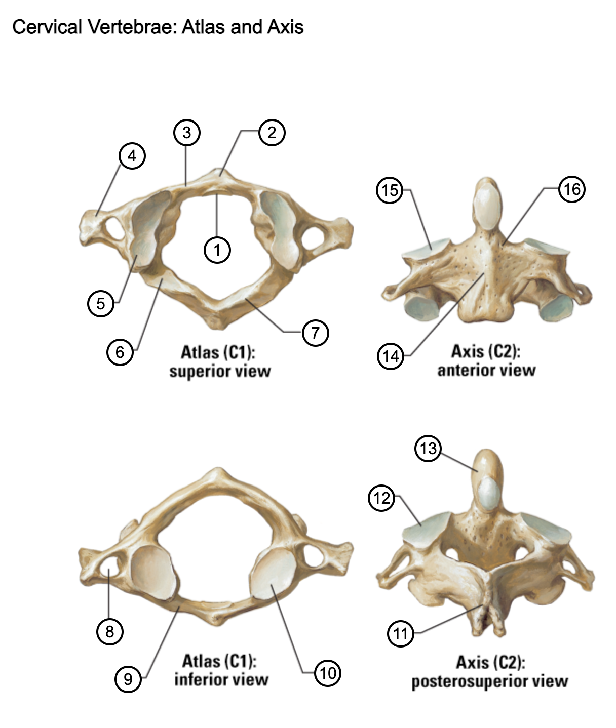 <p>2</p>
