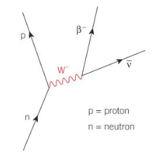 <p>Neutron becomes proton</p><p>W- becomes B- (e-) and electron anti-neutrino</p><p>in neutron rich nucleus </p>