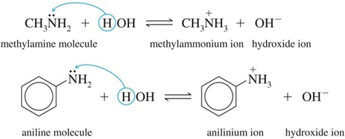 <p>Amines produce OH− ions in water solutions.</p>
