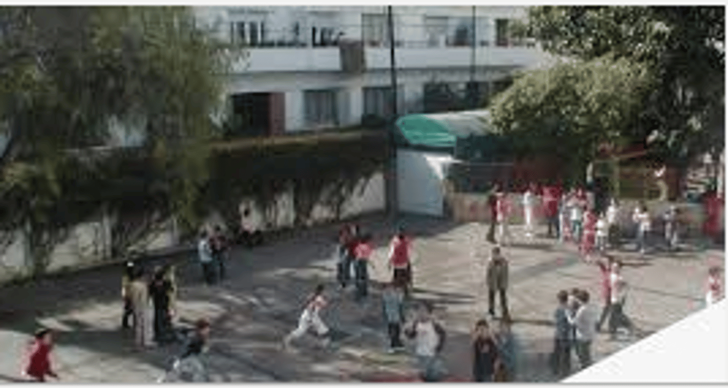 <p>playground, courtyard</p>