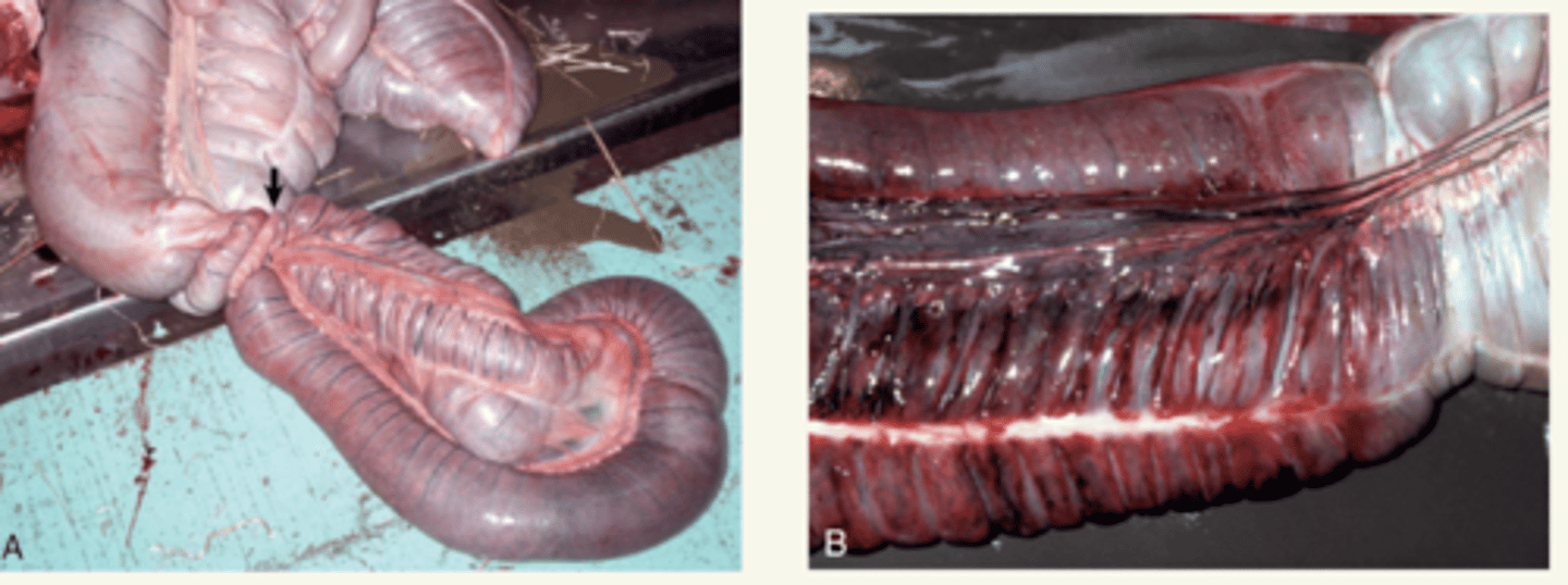 <p>¿patología?</p>