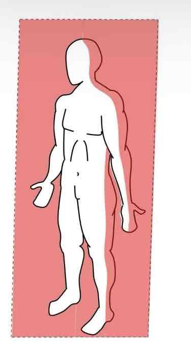 <p>Divides the body into ANTERIOR and POSTERIOR parts</p>
