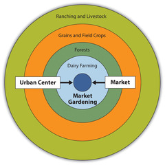 <p>An agricultural model that spatially describes agricultural activity in terms of rent. Activities that require intensive cultivation and cannot be transported over great distances pay higher rent to be close to the market. Conversely, activities that are more extensive , with goods that are easy to transport, are located farther from the market where rent is less.</p>