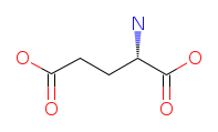 <ul><li><p>Longer carboxylate side chain</p></li><li><p><strong>Negatively charged</strong></p></li><li><p><strong>Excitatory neurotransmitter</strong></p></li></ul><p></p>
