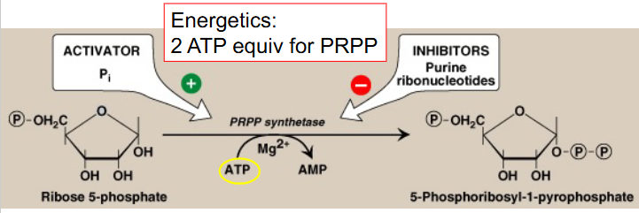 <p>Conversion of Ribose-5P to PRPP</p>