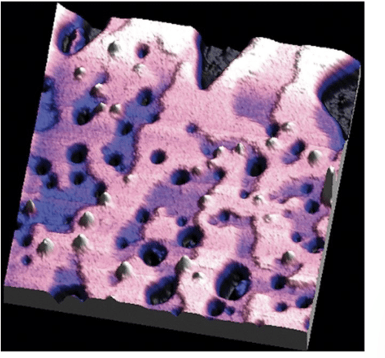 <p>What is the functional role of proteins in lipid rafts?</p>
