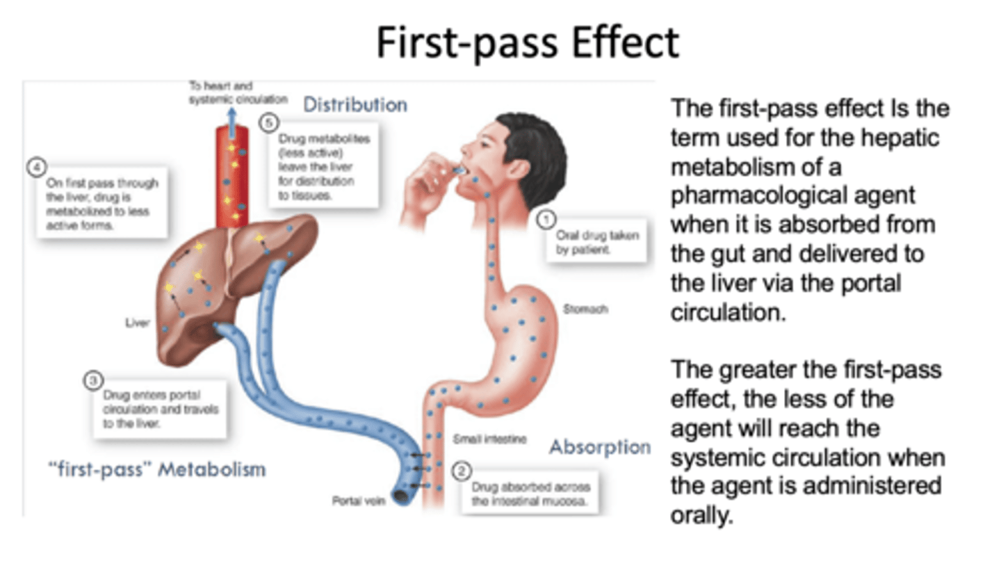 <p>first pass effect</p>
