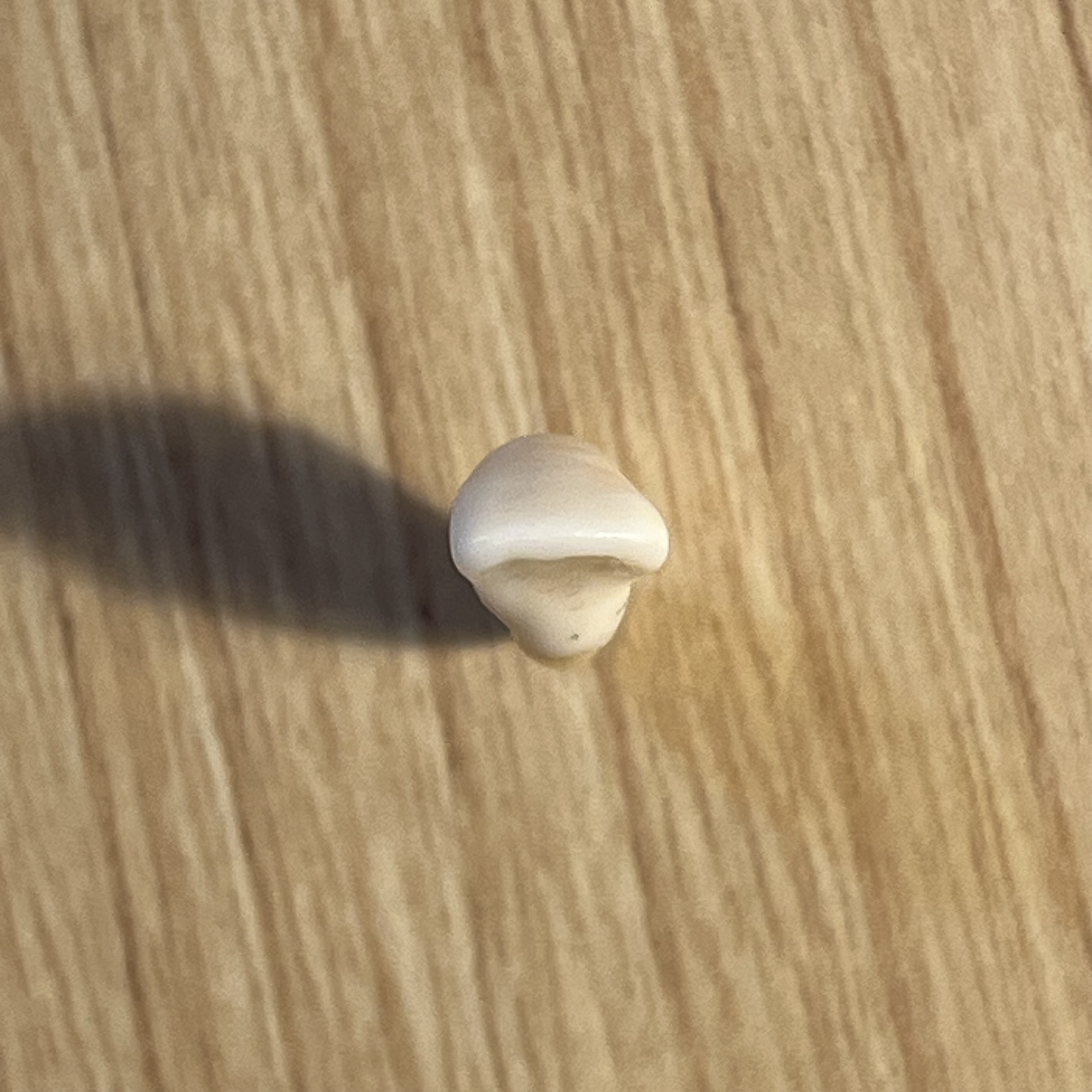 <p>What tooth is this (with view)?</p>