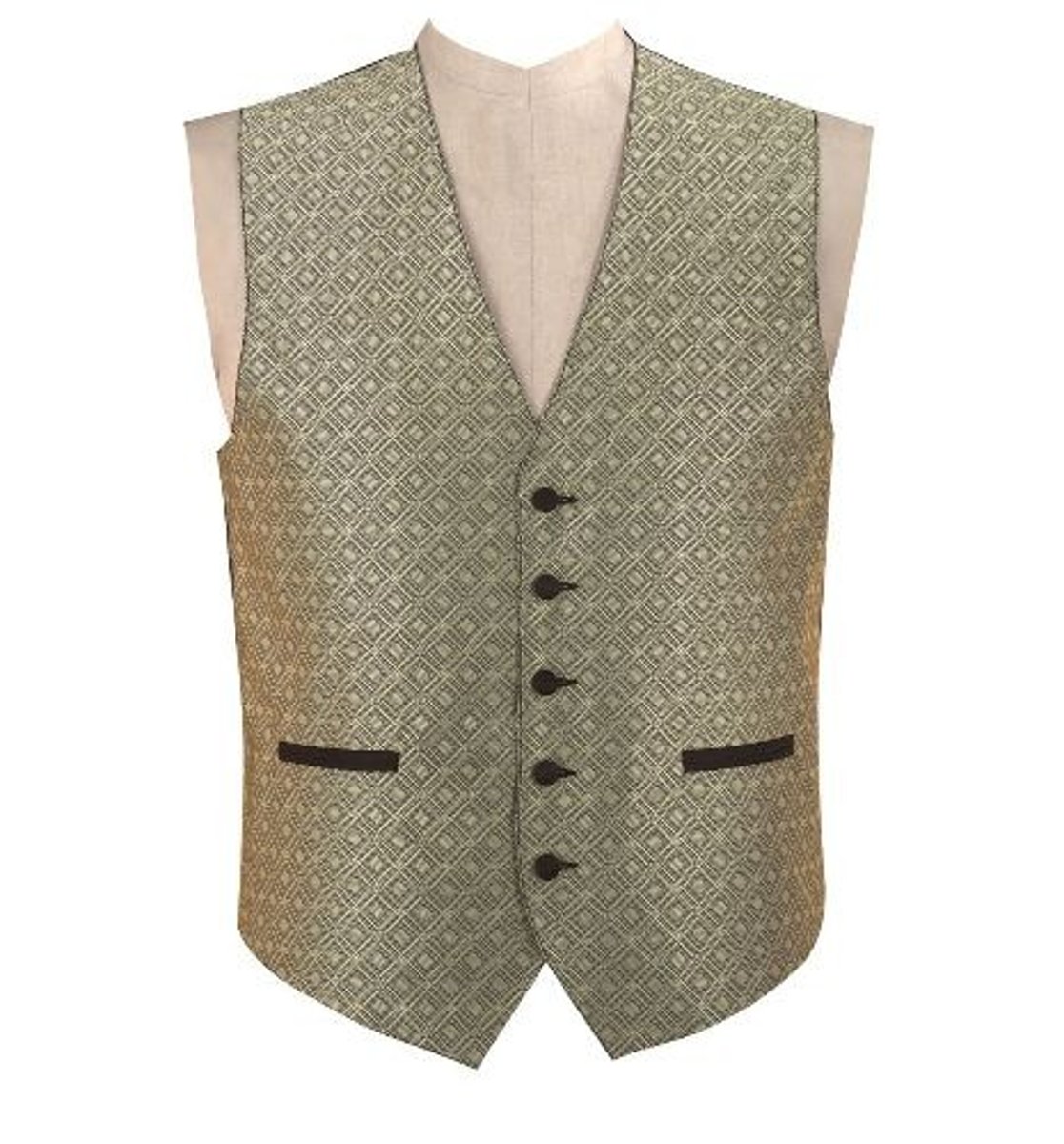 <p>a vest</p>