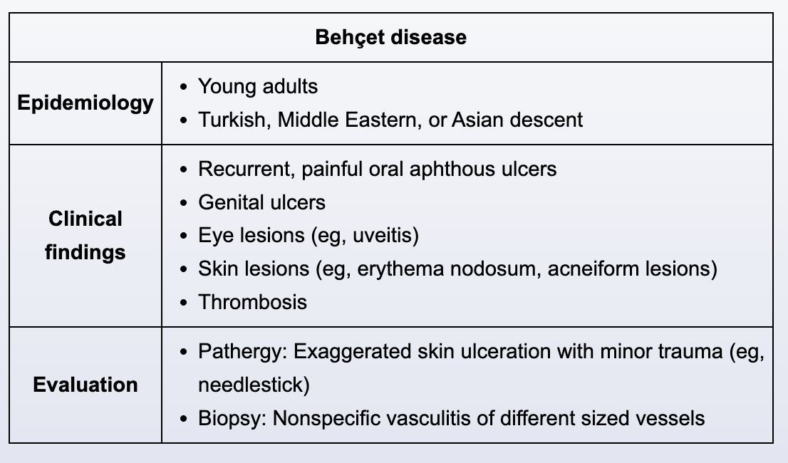 <p>behcet syndrome</p>