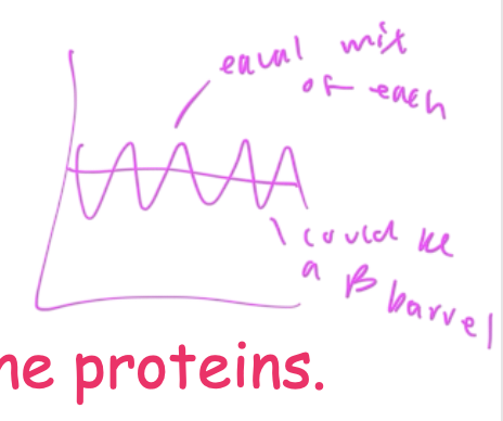 <ul><li><p>so it could be a beta barrel, which has polar and np regions</p></li></ul><p></p>