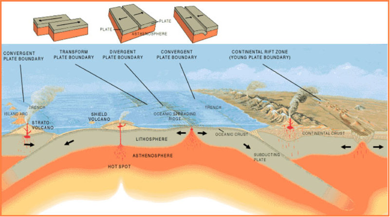 <p>Convergent boundary, transform boundary, divergent boundary</p>