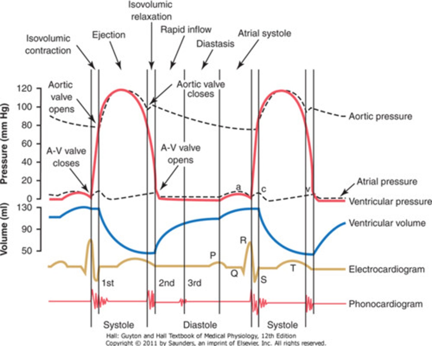 <p>(blue line)</p>