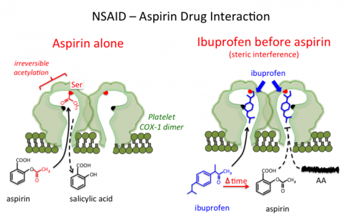 <p><span>Ibuprofen taken at the same time as aspirin-&gt; ibuprofen blocks the access of aspirin (steric interference)</span><br><br><span>Shouldn't be taken at the same time</span></p>