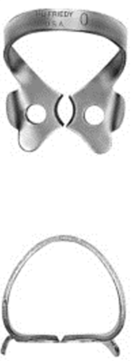 <p>•Flat jaws and high bow for longer premolars</p>