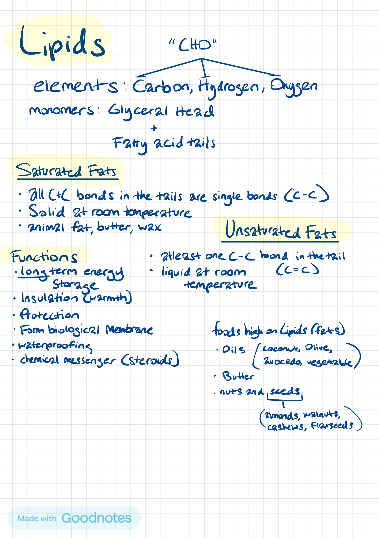 Biology H. Final Exam Study Guide Notes Knowt