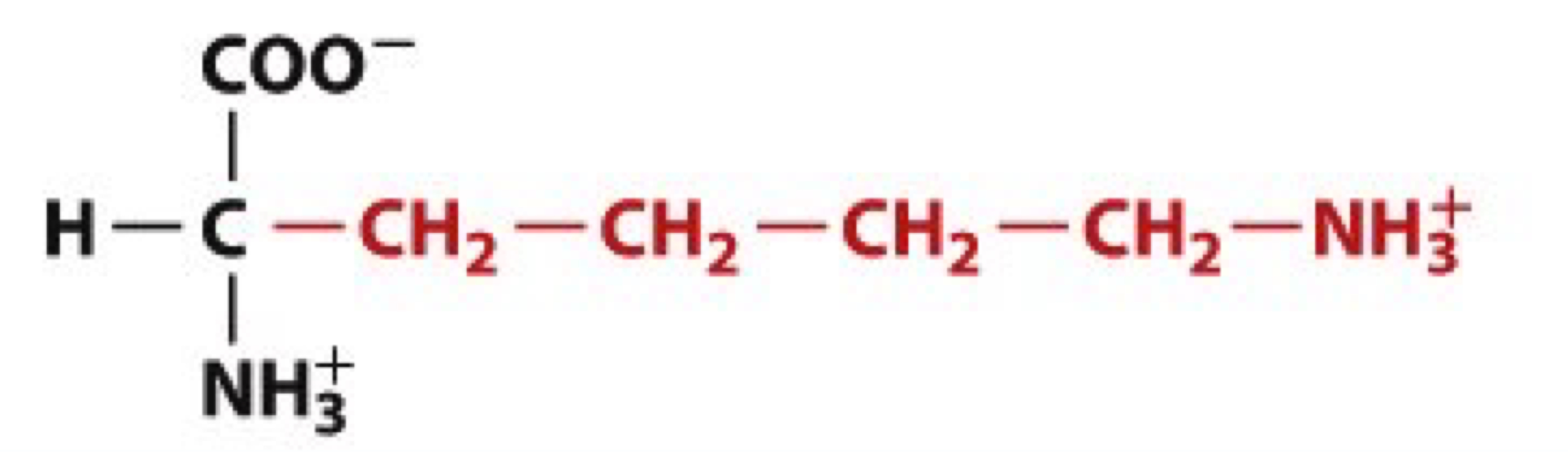 <ul><li><p>Lys, L</p></li><li><p>charged polar</p></li></ul><p></p>