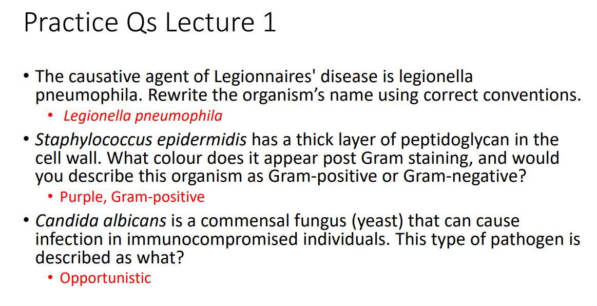 <p>Practice Qs Lecture 1 ANSWERS</p>