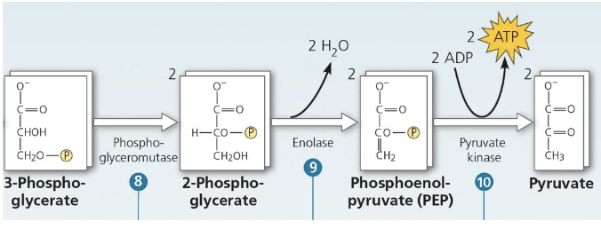<p>Explain what’s happening here</p>
