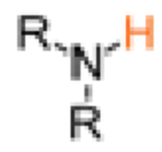 <p>Amines</p>