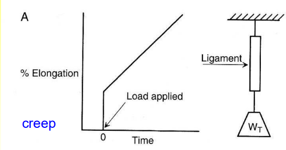 <p>A type of viscoelastic behavior: It is a time dependent extension under load</p>