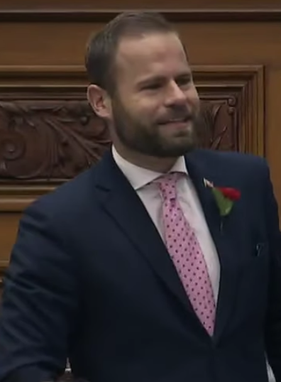 <p>Davidk Piccini</p>