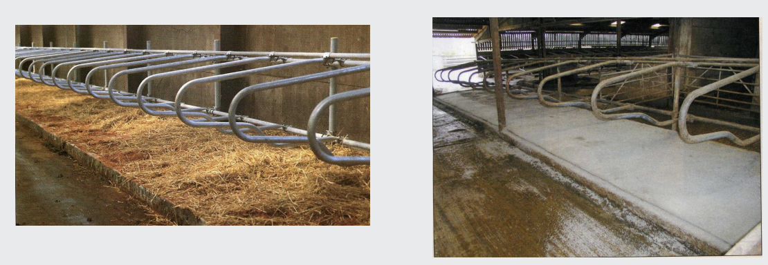 <p>Cubicles should be as comfortable as possible to encourage lying time.</p><p>Size 600kg cow 2.2m long, 1,2m wide</p><p>Provide enough lunge space</p>