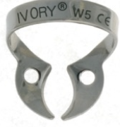 <p>What clamp is this? What tooth is it used for? </p>