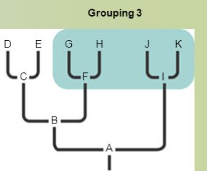 <p>polyphyletic clade</p>