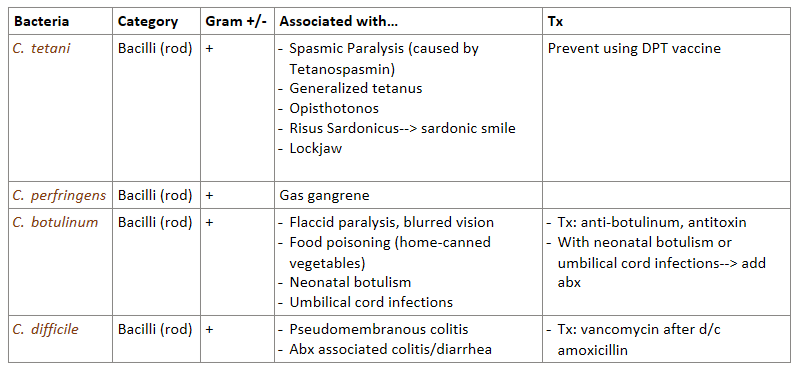 <p>G+ BACILLI REVIEW:</p>