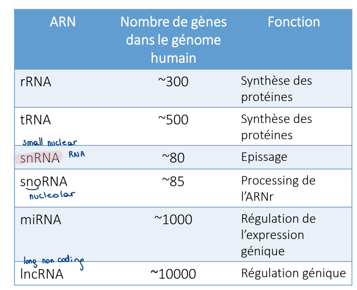 <p>ARN nn codant fonctionnels<br>Régulation + mécanisme</p><ul><li><p class="has-focus">miRNA: ↓ expression gènes (post-transcription)</p></li><li><p class="has-focus">lncRNA : Régulation génique</p></li></ul><p></p>