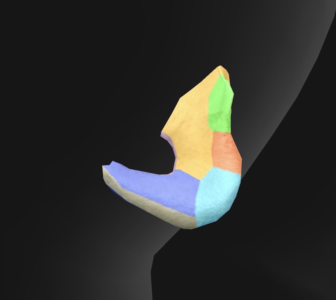 <p>bony prominence inferior to the ischial spine, serves as the origin for the hamstring muscles and supports the weight of the body when sitting. </p>