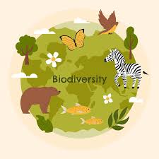 <p>Biodiversity</p>