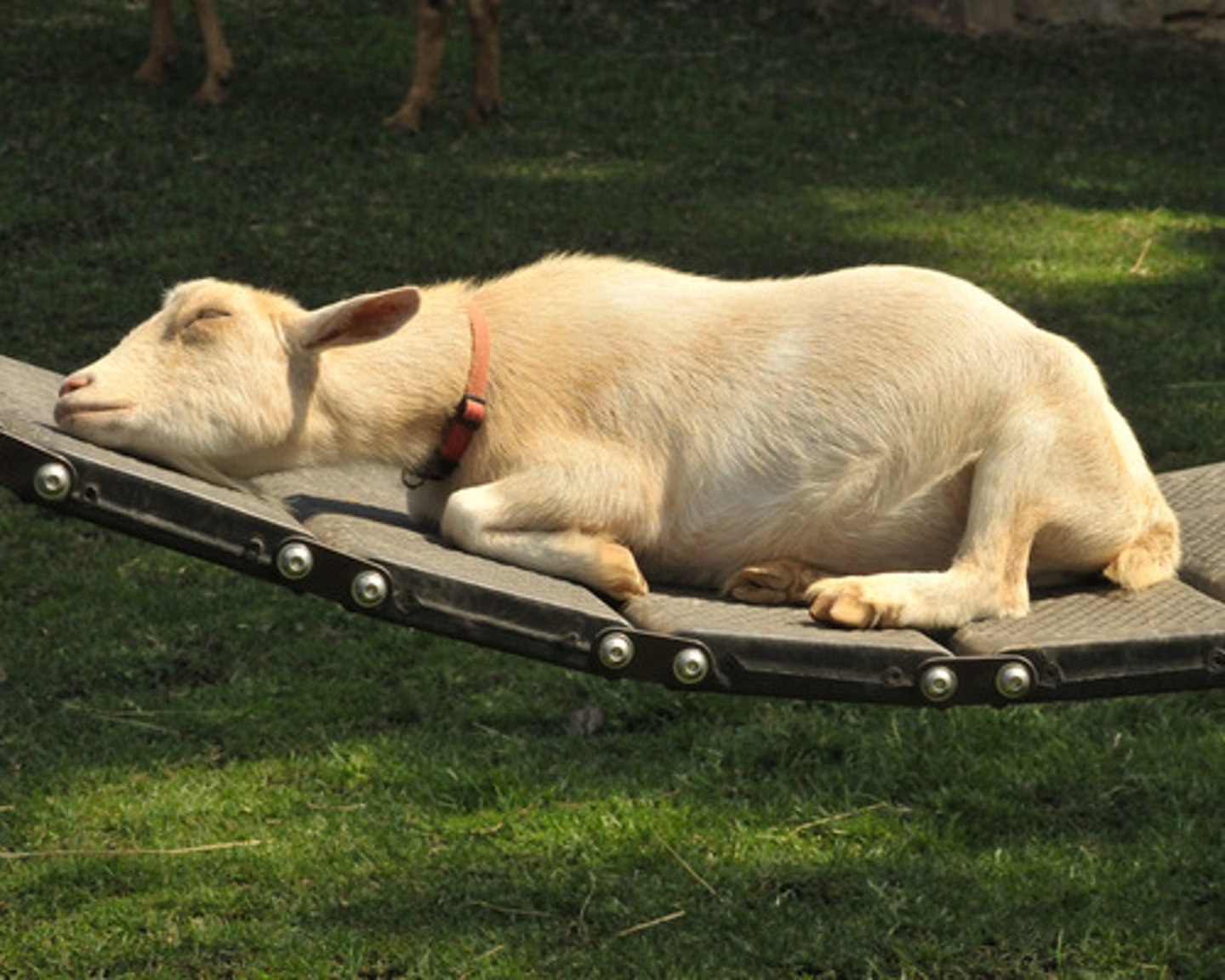 <p>sit, lie, or stand in a lazy, relaxed way</p>