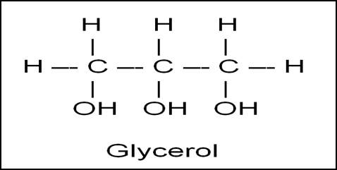 <ul><li><p>3 carbon atoms</p></li><li><p>each have hydroxyl group</p></li><li><p>hydrogen fills the rest</p></li></ul><p></p>