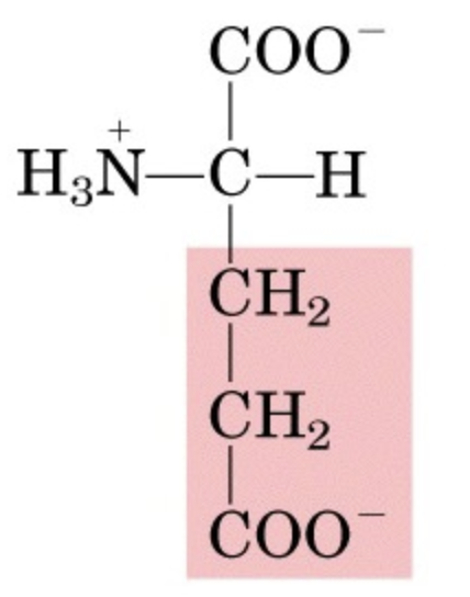 <p>What’s this aminoacid?</p>