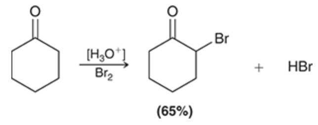 <ul><li><p><strong><u>Alpha halogenation</u></strong></p></li><li><p>Halogenation occurs at the alpha position</p></li></ul><p></p>