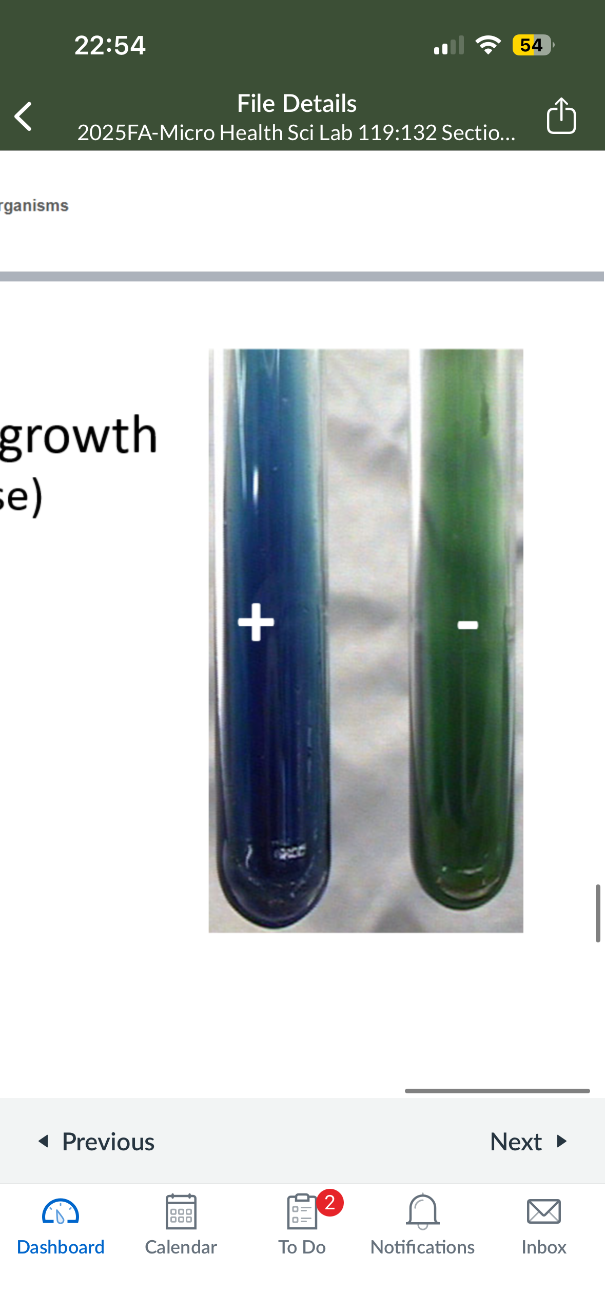 <p>bromothymol blue </p>
