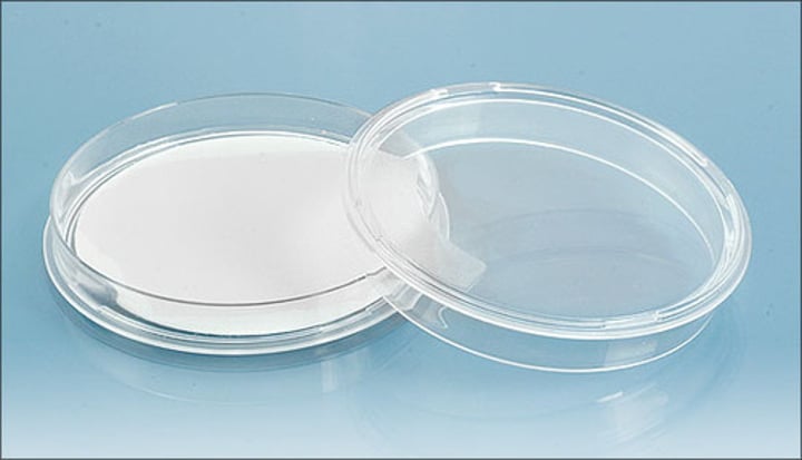 <p>a shallow dish used to culture bacteria</p>