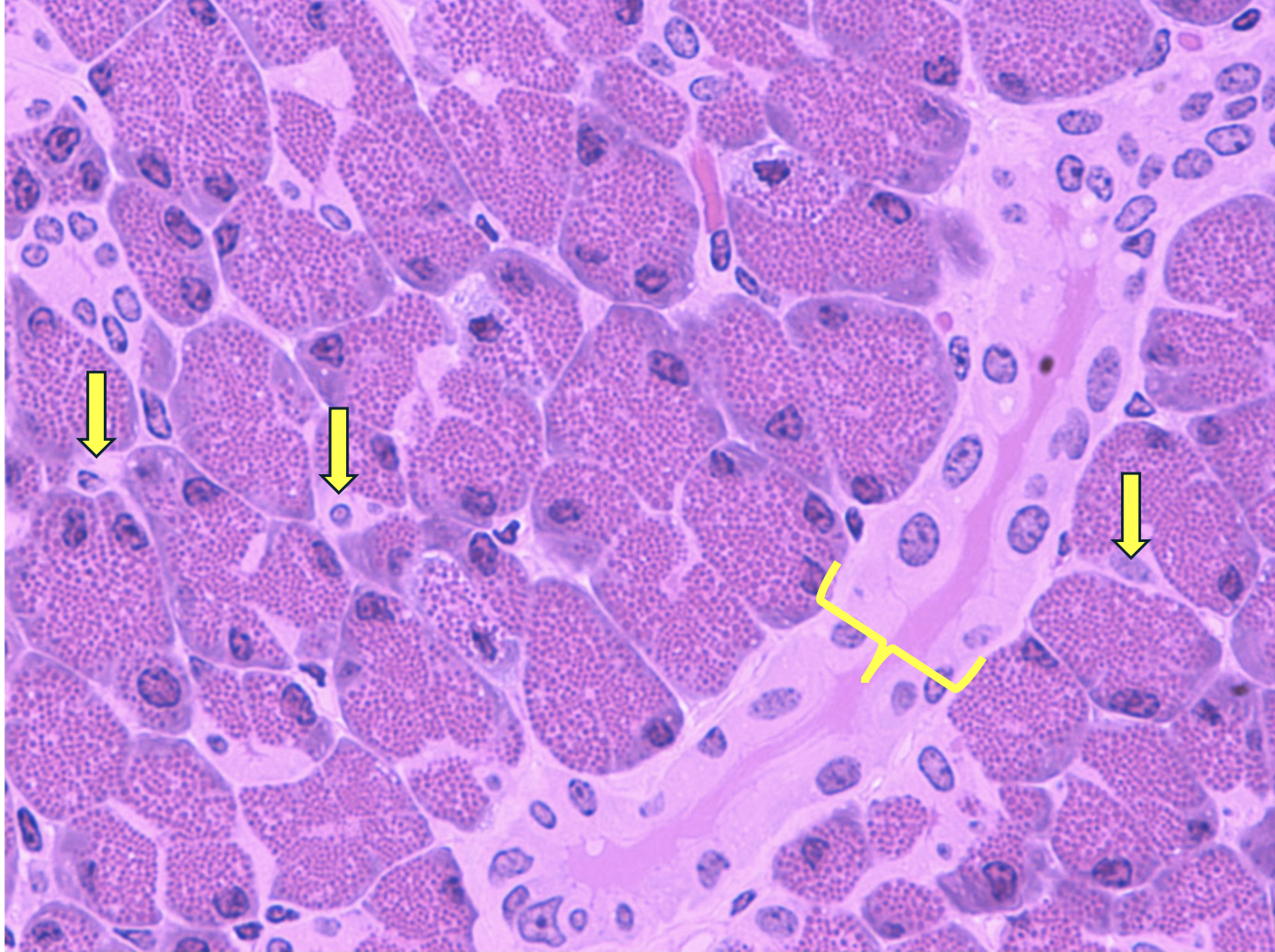 <p>ID the structure</p>
