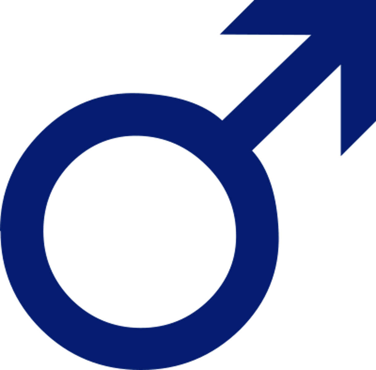 <p>masculine</p>