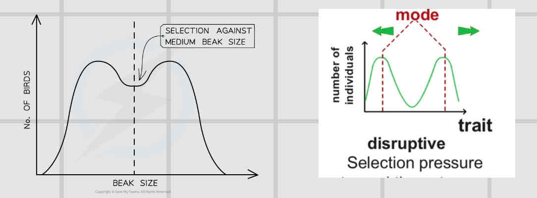 <p>Disruptive</p>