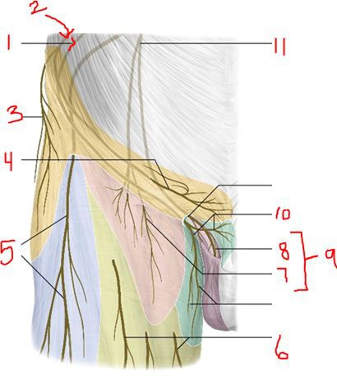 <p>#7</p>