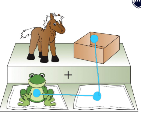 <p>trueswell et al. (1999)- findings</p><ul><li><p>“put the frog on the napkin in the box” </p></li></ul><p></p>