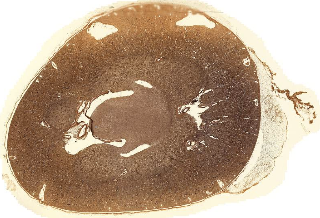 <p>What is this?</p>