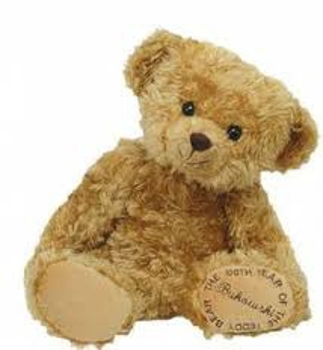 <p>teddy bear</p>