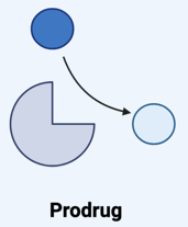 <ul><li><p>Activation of drug molecule</p></li></ul><p></p>