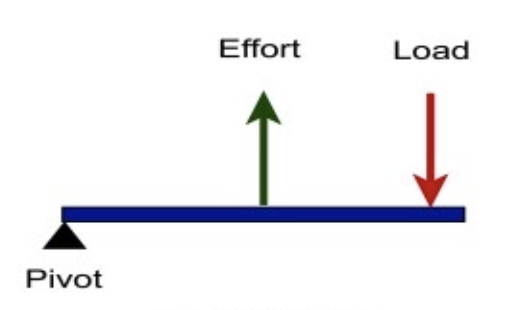 <p>Name the lever type</p>